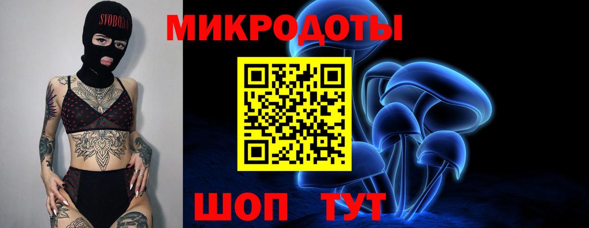 Галлюциногенные грибы Cubensis  Псилоцибиновые грибы GOLDEN TEACHER  Элиста  Вход с VPN 